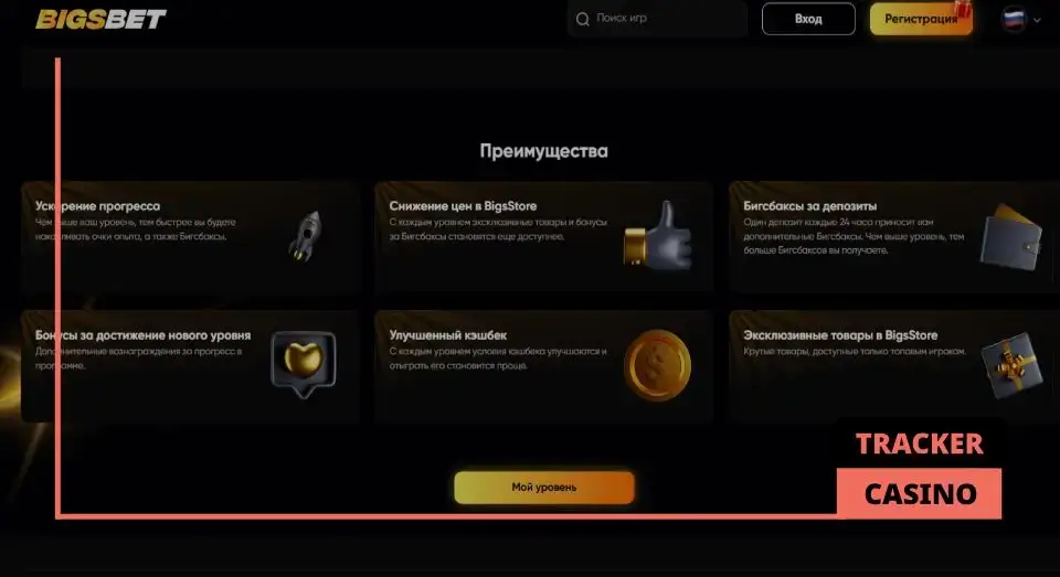 Преимущества программы лояльности Bigsbet casino