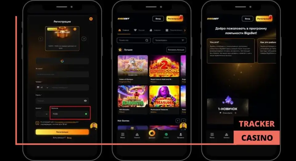 Ограничения программы лояльности в casino Bigsbet