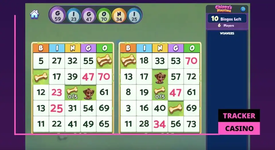 Bingo: правила и стратегии