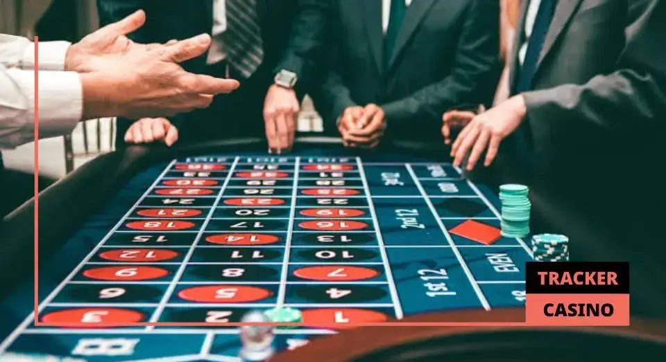 Блоха: как избежать