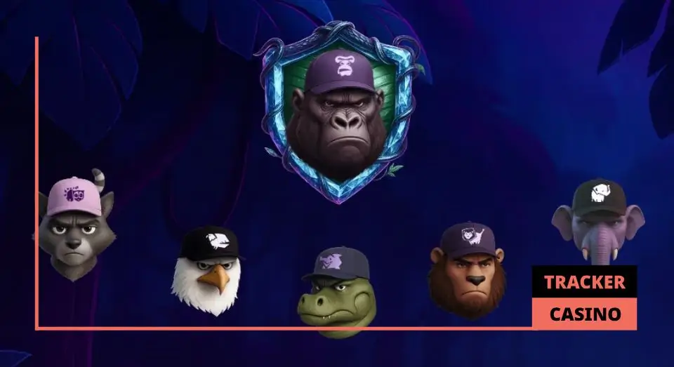 Booi casino программа лояльности