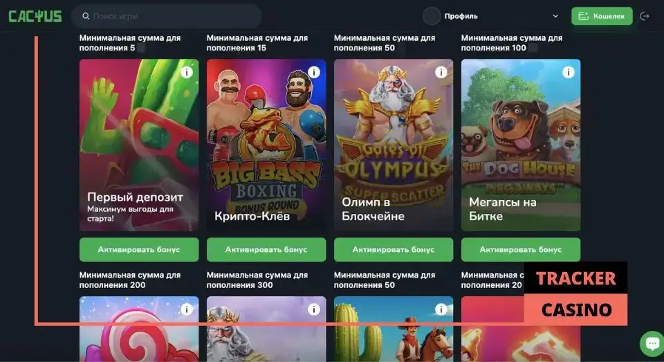Cactus casino бонусы: основные типы акций