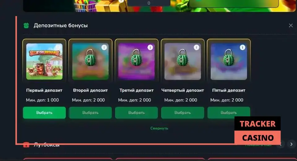Cactus casino бонусы на депозит: актуальные предложения
