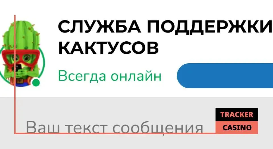 Правила отыгрыша бонусов на депозит в Cactus casino