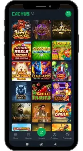 Прочие правила и условия для фриспинов casino Cactus