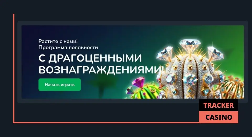 Что такое Cactus casino кэшбэк