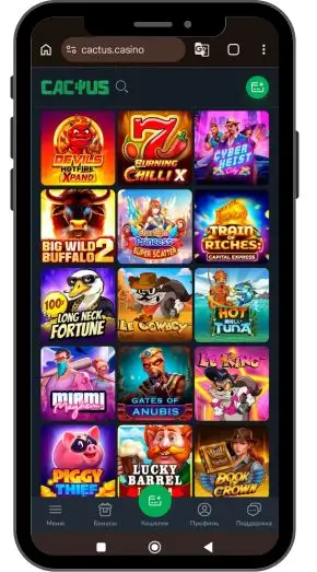 Условия отыгрыша кэшбэка в Cactus casino