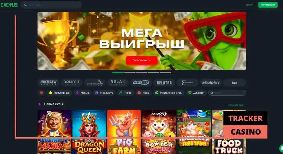 Cactus casino обзор платформы