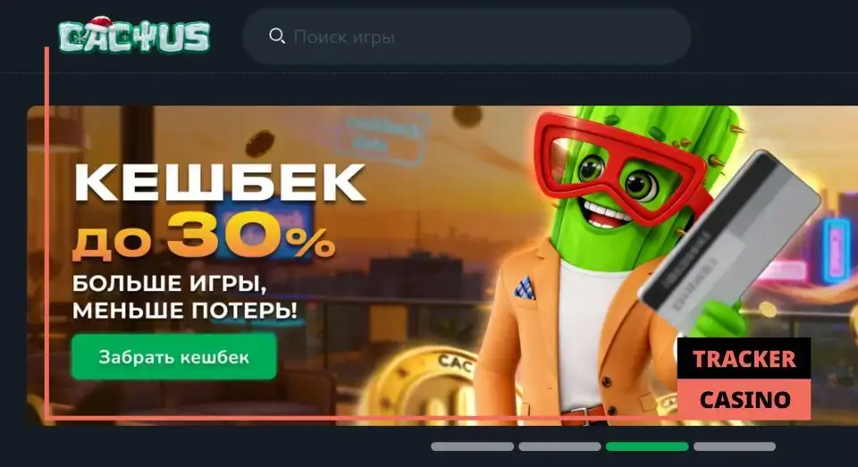 Как работает программа лояльности в Cactus casino