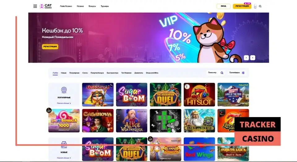 Cat casino бонусы: в чем заключается их польза