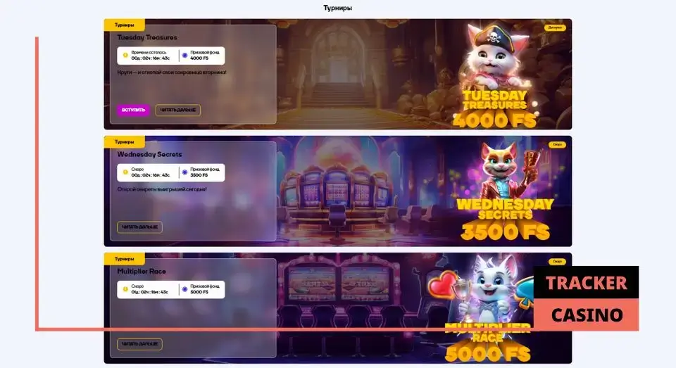 Cat casino бонусы: какие поощрения ждут игроков
