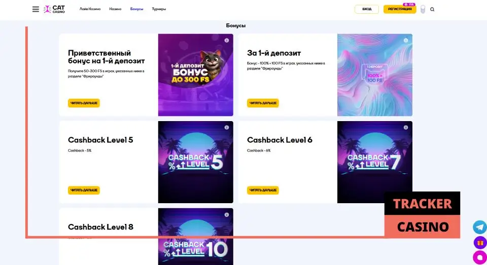 Cat casino бонусы: преимущества этого раздела