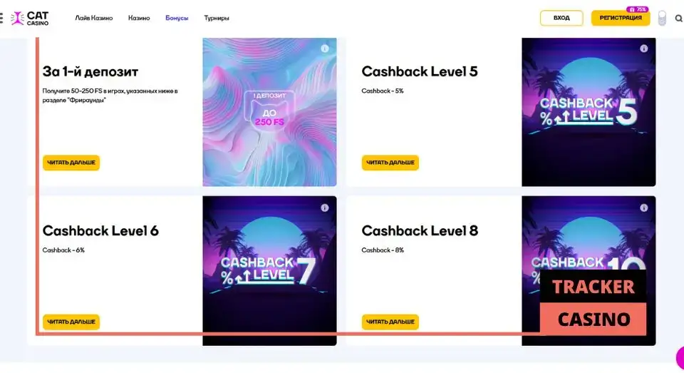 Что представляет собой кэшбэк в Cat casino