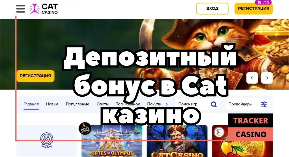 Cat casino депозитный бонус