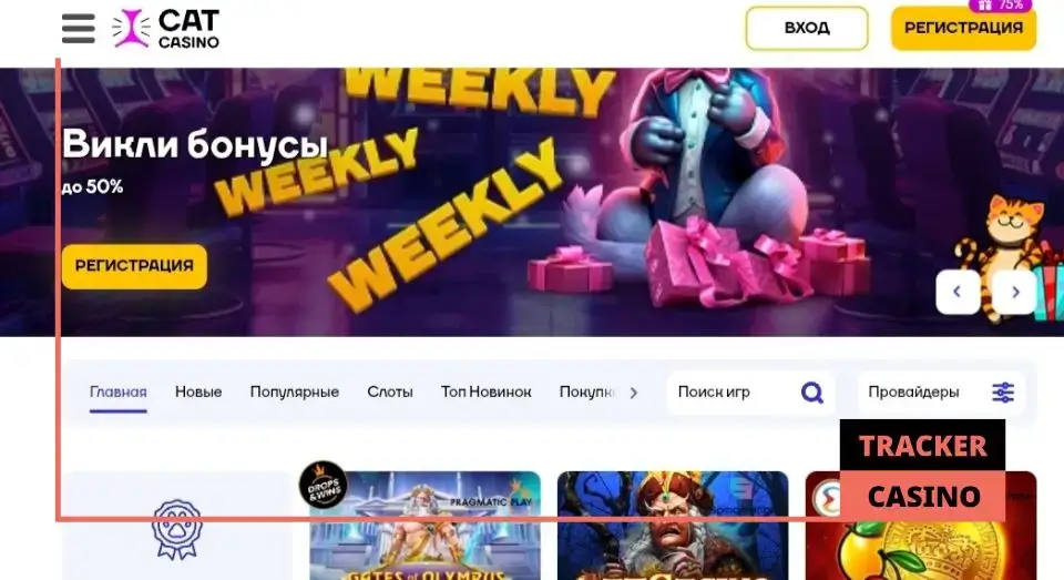 Cat casino депозитный бонус: об акции