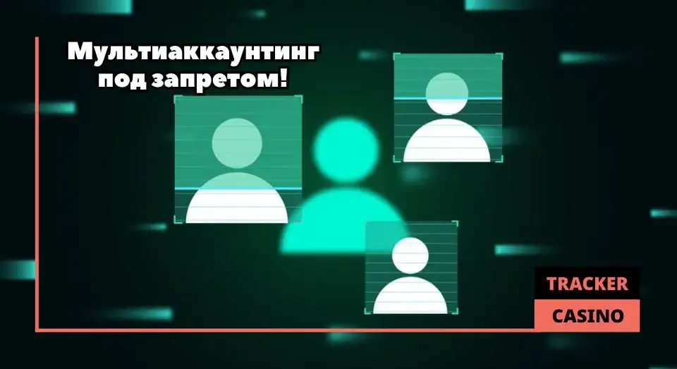 Cat casino депозитный бонус: важно знать