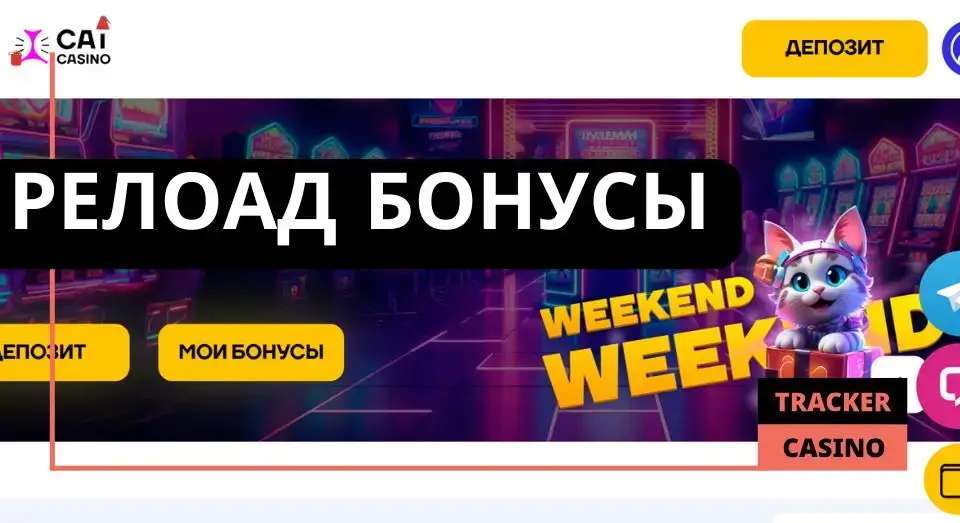 Cat casino релоад бонусы