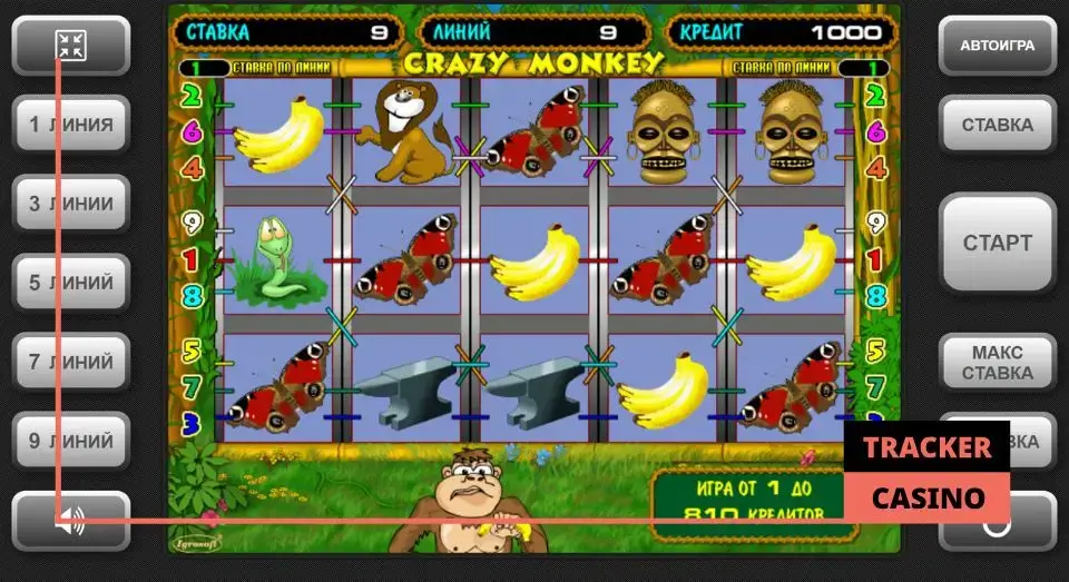 Игровой автомат Crazy Monkey: характеристики слота