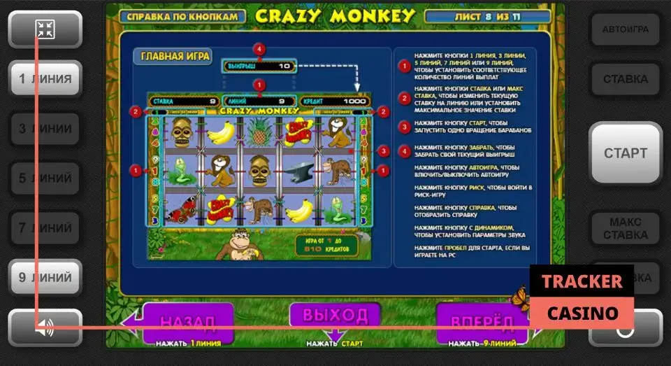 Игровой автомат Crazy Monkey: интерфейс