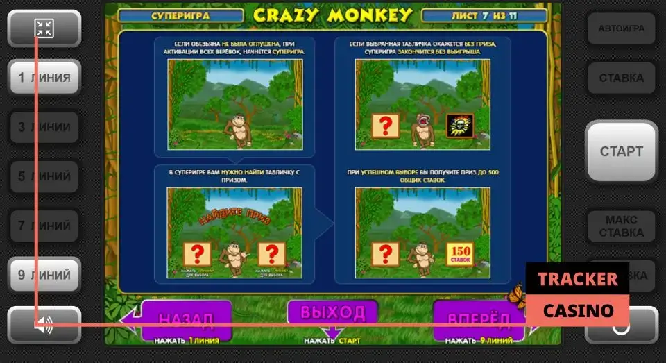 Бонусная игра в слоте Crazy Monkey
