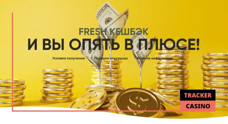 Fresh casino программа лояльности: статусы и бонусы