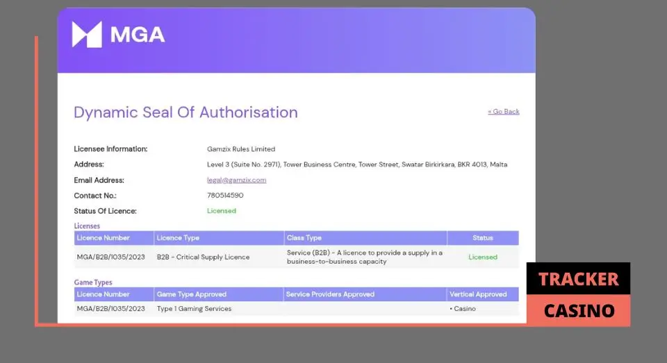 Основная информация о провайдере Gamzix