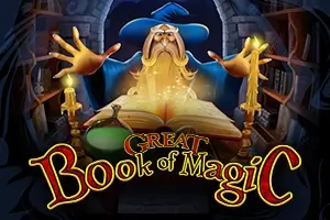 Great Book of Magic играть