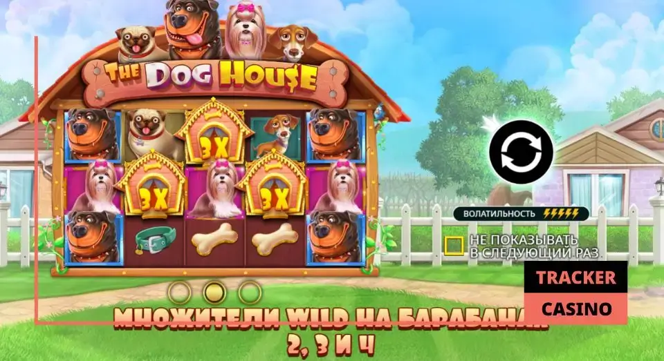 Kilogram casino обзор: бонусы