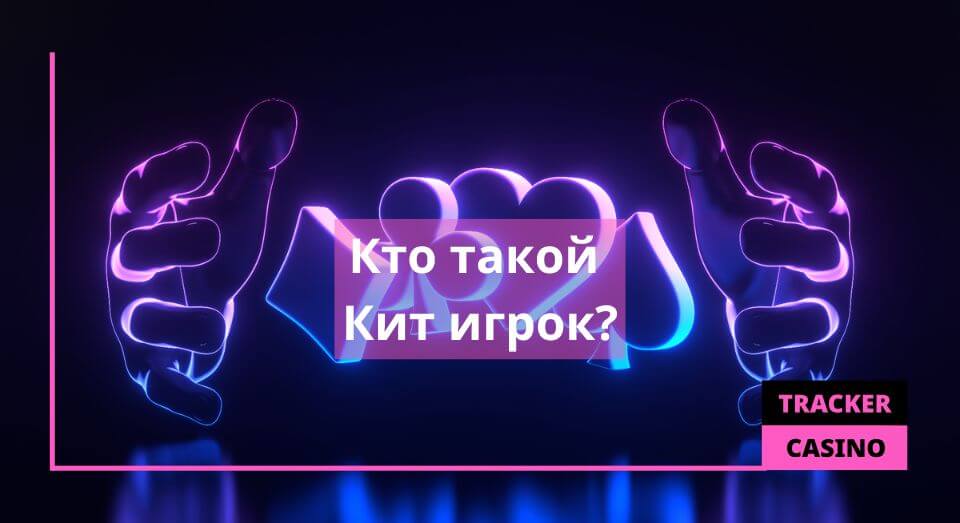 Кит игрок