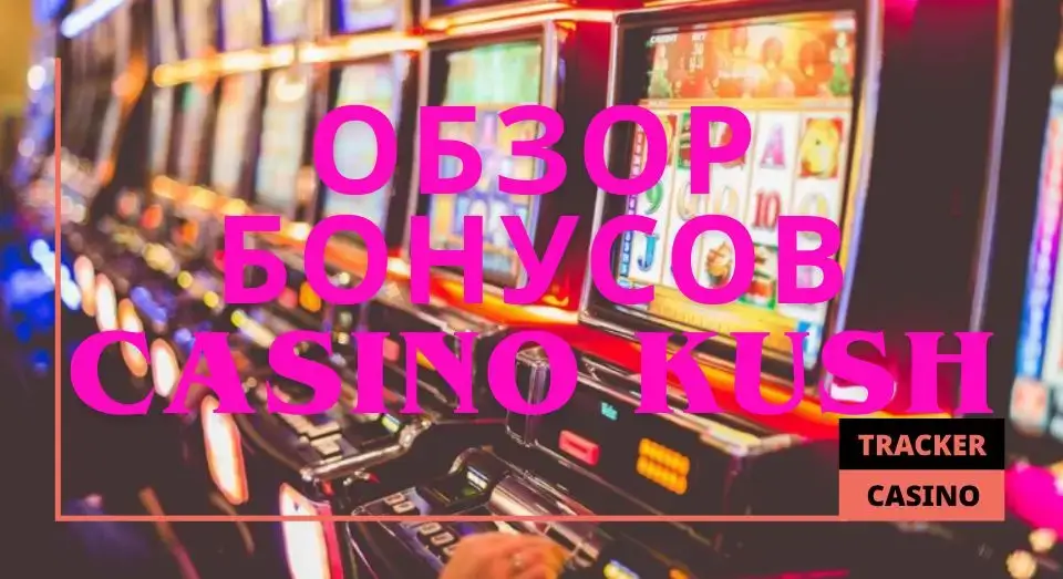 Обзор бонусов в casino Kush