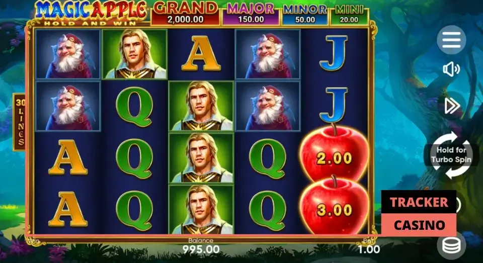 Характеристики слота Magic Apple