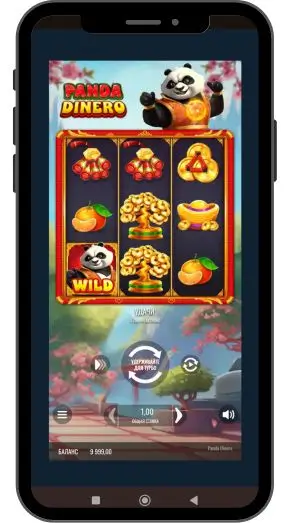 Характеристики игрового автомата Panda Dinero
