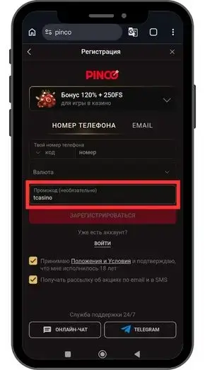 Все способы получить в Pinco casino фриспины
