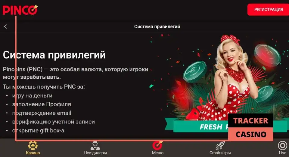 Что такое PNC в программе лояльности casino Pinco