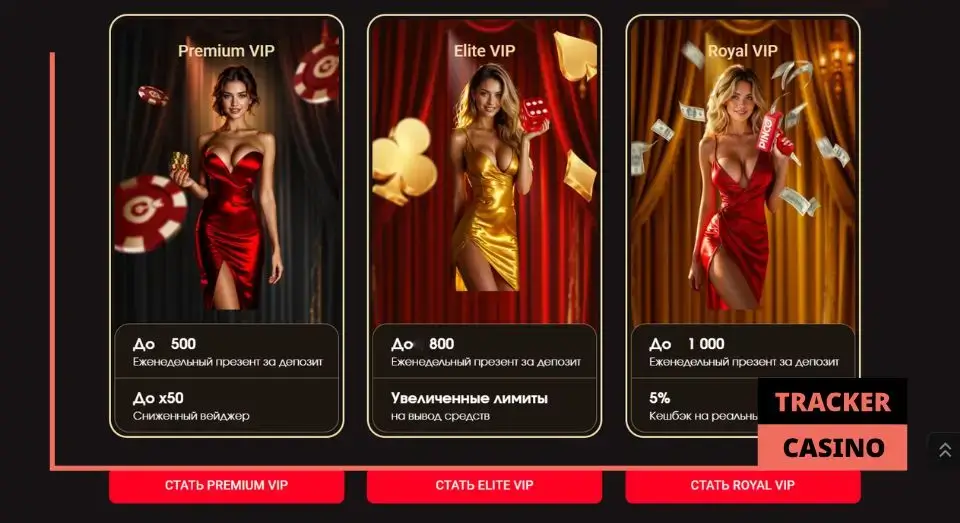 Pinco casino программа лояльности: эксклюзивный VIP-клуб