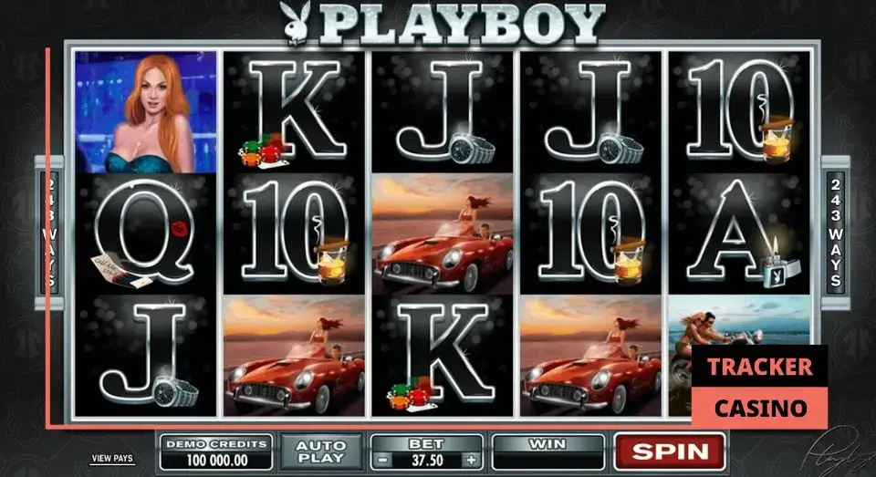 Обзор характеристик слота Playboy