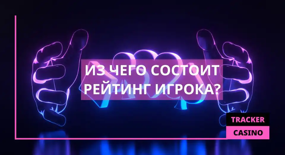 Из чего состоит рейтинг игрока