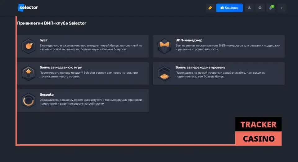 Максимизация выгоды от бонусов на депозит в казино Selector