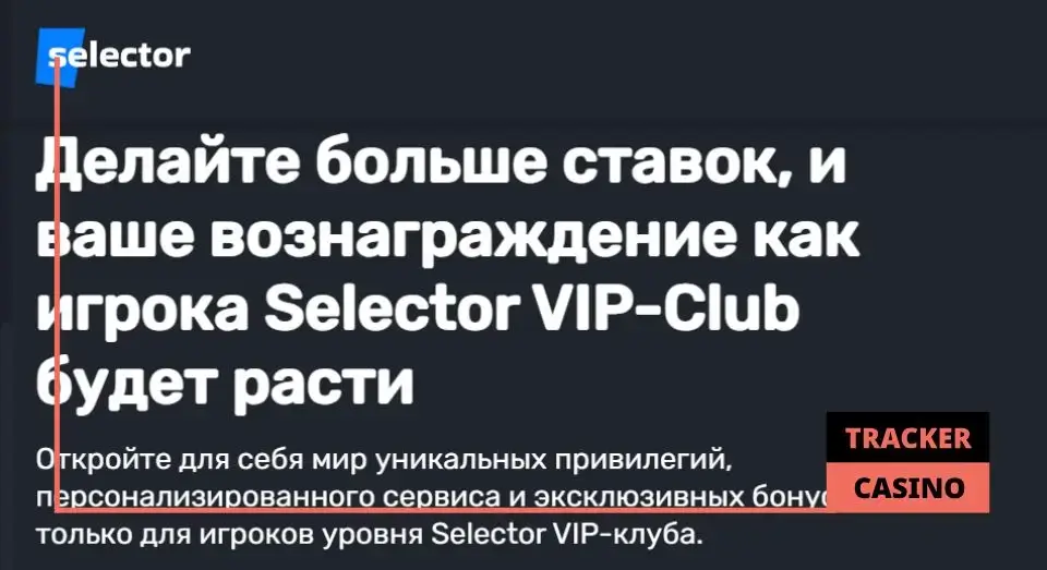 Что такое в программа лояльности в casino Selector