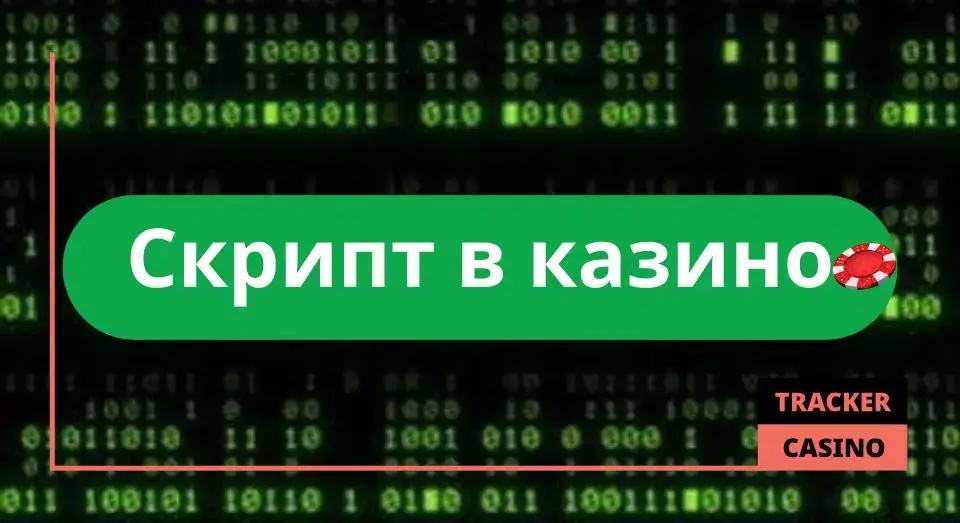 Скрипты
