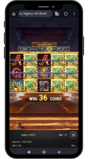 Главные механики и особенности книжных автоматов