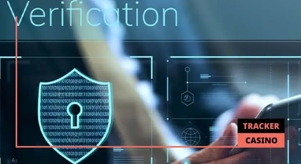 Принципы работы бонусной системы в Спрут казино