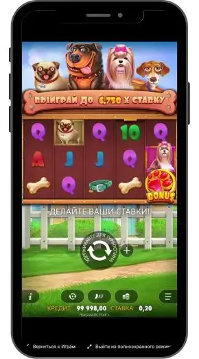 Как в The Dog House играть