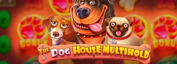 The Dog House Multihold Pragmatic Play бонус слота