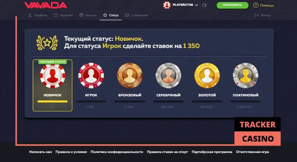 Vavada casino программа лояльности: статусы и привилегии