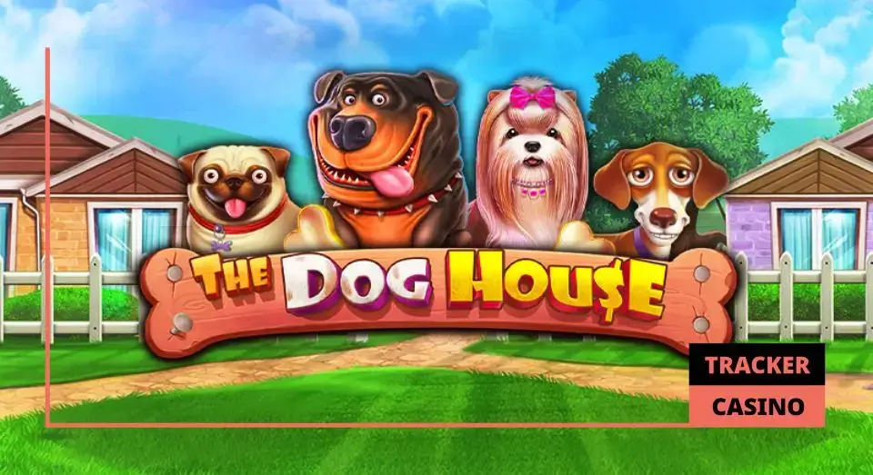 Как получить в casino Вавада фриспины