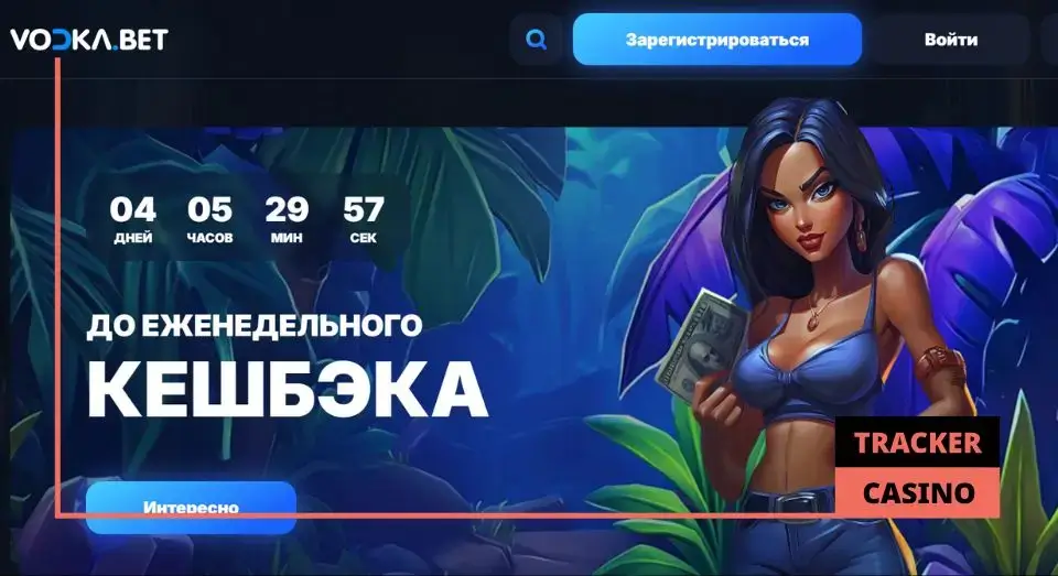 Vodka casino кэшбэк