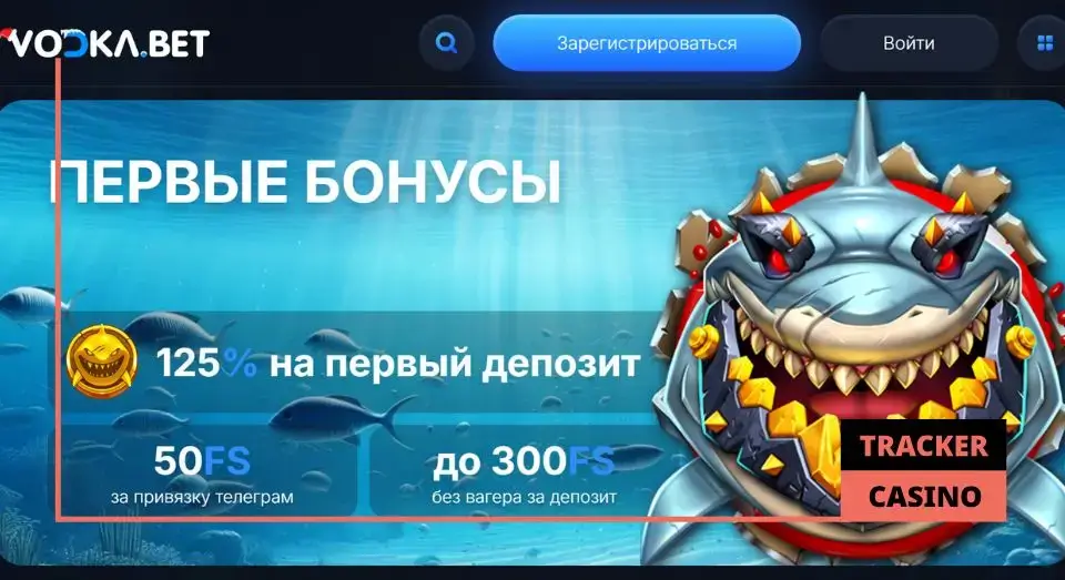 Vodka casino обзор платформы