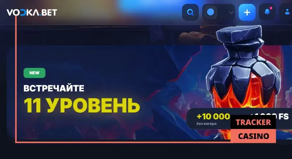 Vodka casino программа лояльности