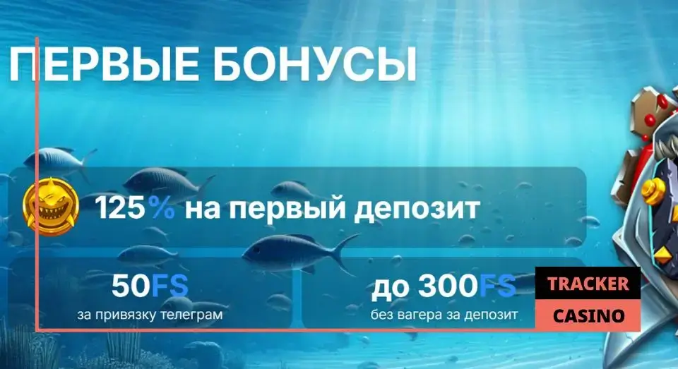 Таблица бонусов по промокоду в Vodka casino